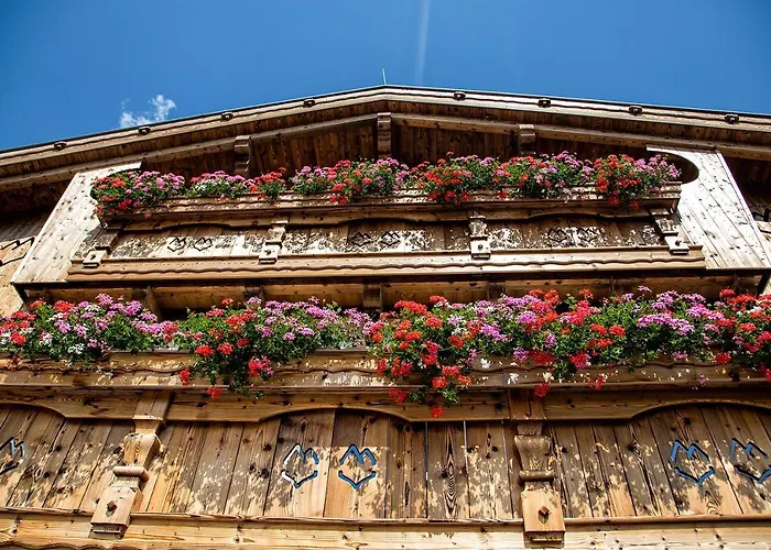 Alpinium - Inklusive Super Sommer Card *