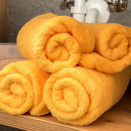 Alpinium - Inklusive Super Sommer Card アパート フィス