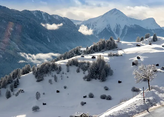 Alpinium - Inklusive Super Sommer Card * フィス